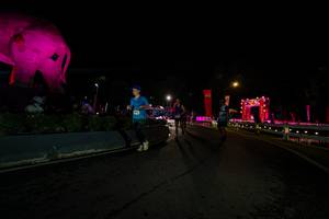 BIB: 
                            <button type="button" onclick="openModal(26552593)" class="btn btn-primary btn-sm float-right btn-popup" data-toggle="modal" data-target=".modal-high-quality">
                        <i class="fas fa-shopping-cart"></i> Add to Cart
                    </button>
                                            <button type="button" onclick="isThisMe(26552593, true)" class="btn btn-success btn-sm float-right btn-popup btn-isme hidden" data-toggle="tooltip" data-placement="bottom" title="นี่คือรูปของคุณใช่ไหม คลิกที่นี่เพื่อเอาเข้าอัลบั้ม">
                        <i class="fas fa-plus"></i> Add to album
                    </button>
                    <button type="button" onclick="isThisMe(26552593, false)" class="btn btn-warning btn-sm float-right btn-popup btn-isnotme hidden">
                        <i class="fas fa-ban"></i> Remove from album
                    </button>